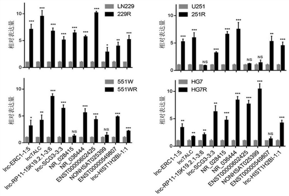 Use of lnc-talc as a molecular marker in evaluating the efficacy and prognosis of glioblastoma TMZ chemotherapy