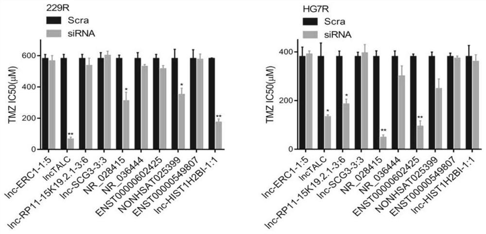 Use of lnc-talc as a molecular marker in evaluating the efficacy and prognosis of glioblastoma TMZ chemotherapy