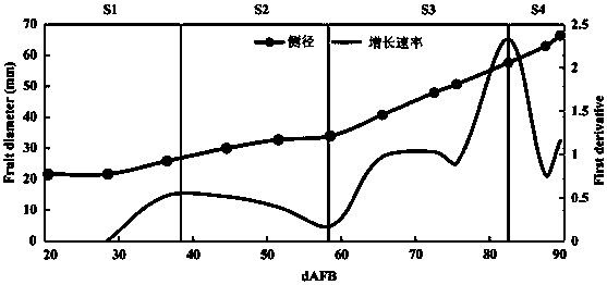 Application of polyamine decomposition inhibitor aminoguanidine in fruit preservation, and usage method of polyamine decomposition inhibitor aminoguanidine in fruit preservation