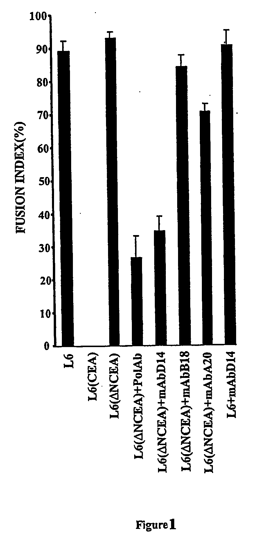 Antibodies and cyclic peptides which bind CEA (carcinoembryonic antigens) and their use as cancer therapeutics