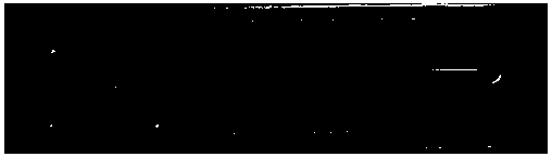 Preparation method of high molecular polymer micro-fluidic chip