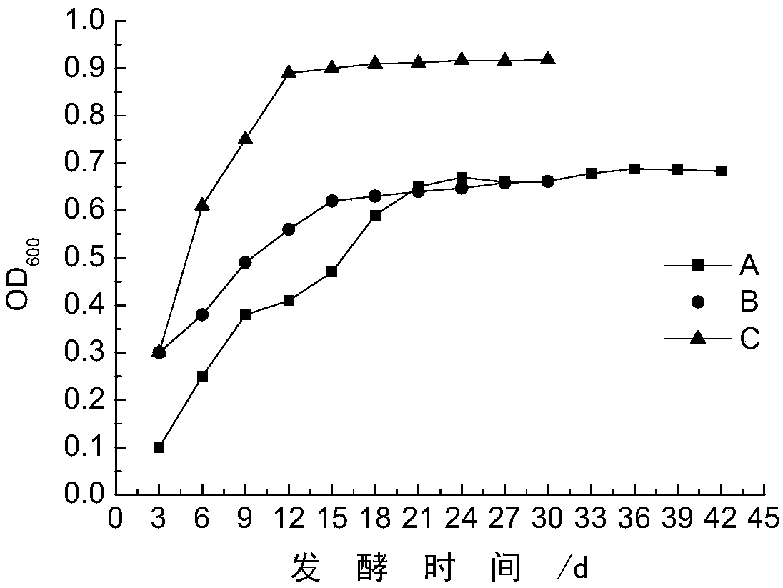 Low-salt zha cai production process and zha cai produced by process