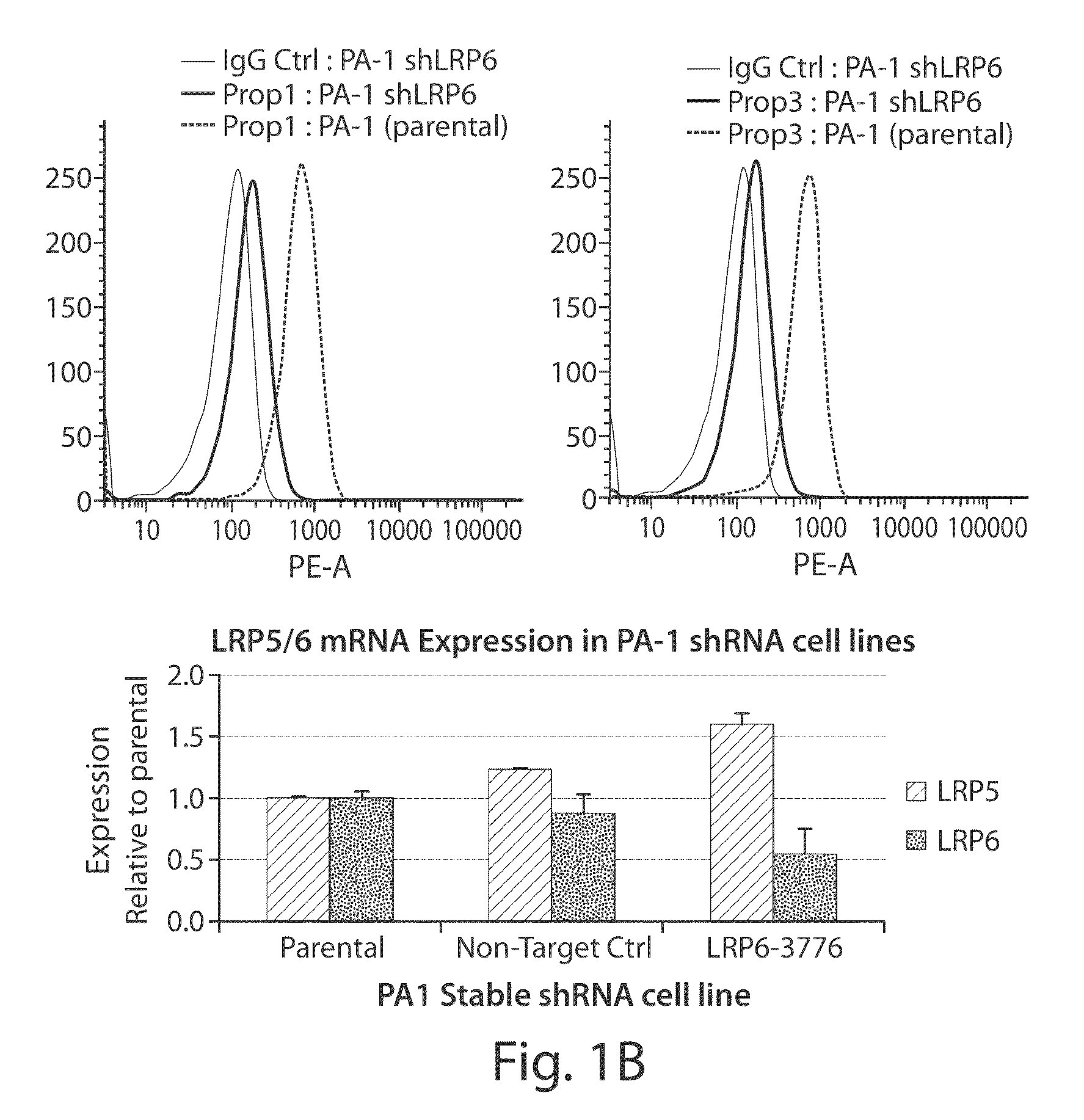 Therapeutic low density lipoprotein-related protein 6 (LRP6) multivalent antibodies