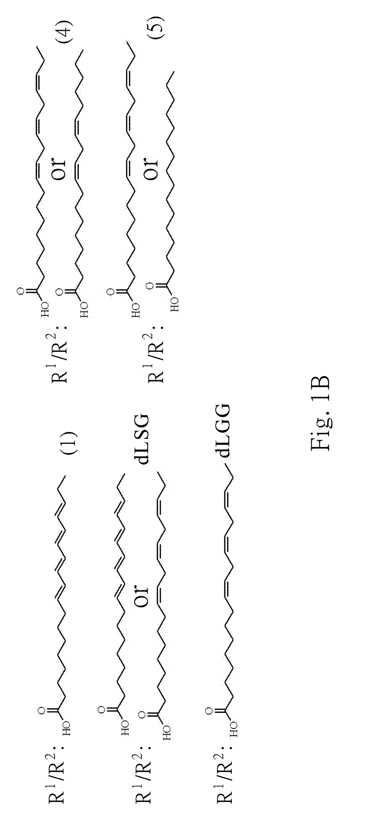 Galactolipids-enriched plant extracts and the uses thereof