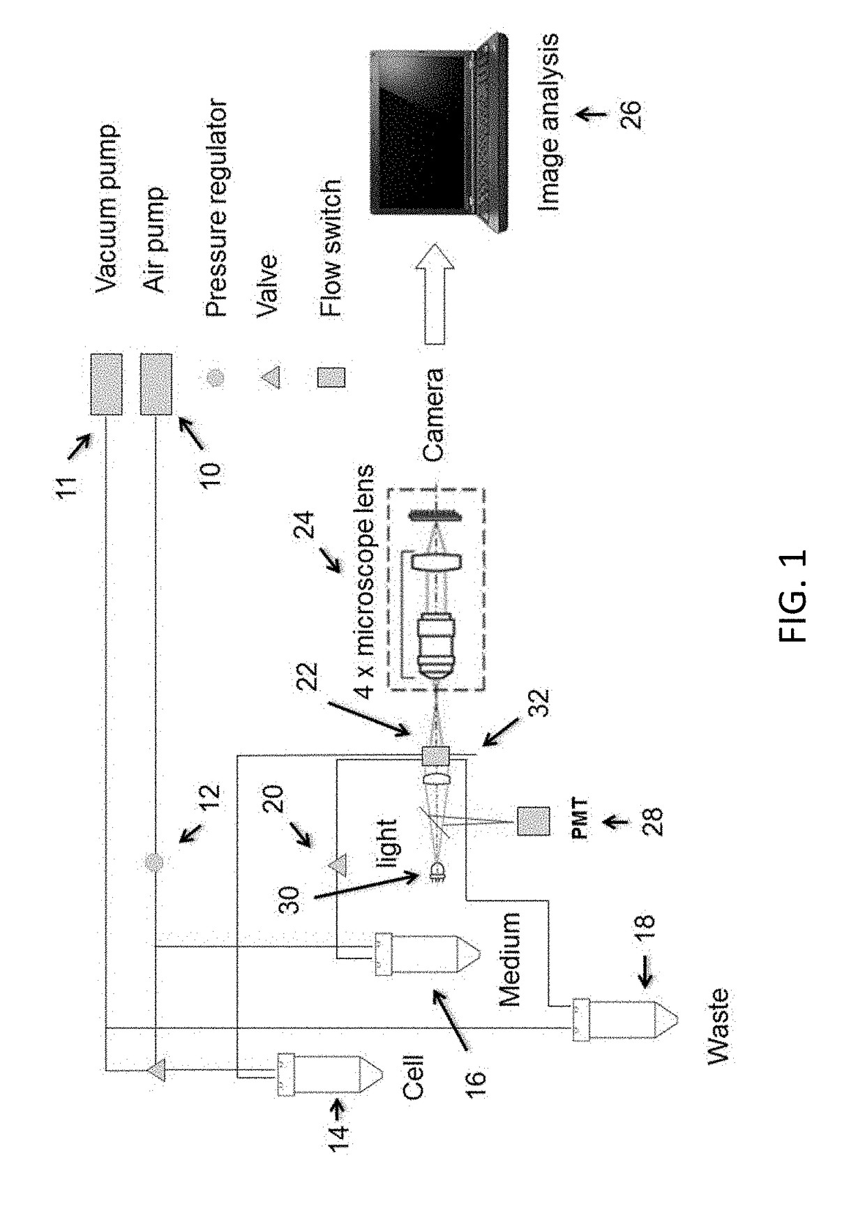 Method and apparatus for bulk microparticle sorting using a microfluidic channel