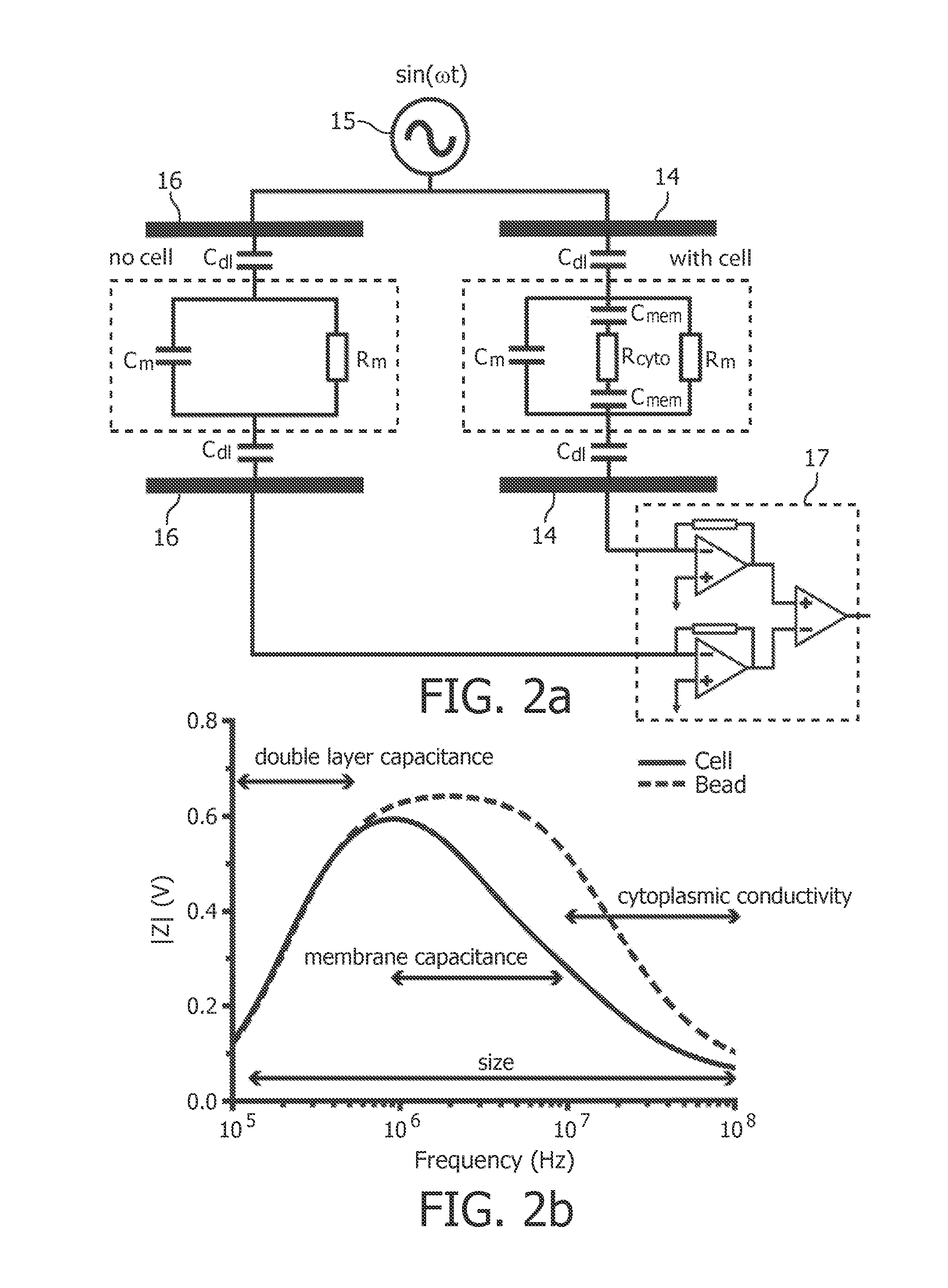 Multi-frequency impedance method and apparatus for discriminating and counting particles expressing a specific marker