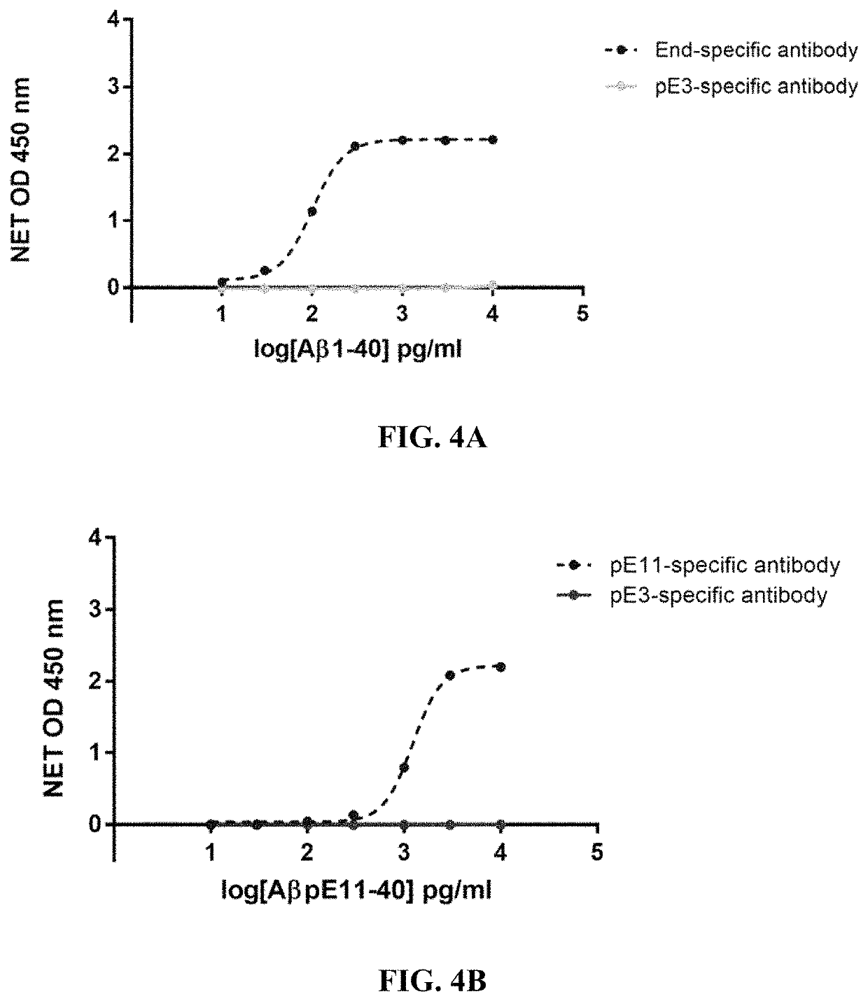 Antibodies to pyroglutamate amyloid-β and uses thereof