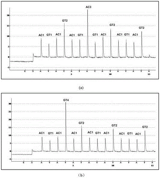 A method for identification of microbial populations by two nucleotide real-time sequencing-by-synthesis profiles