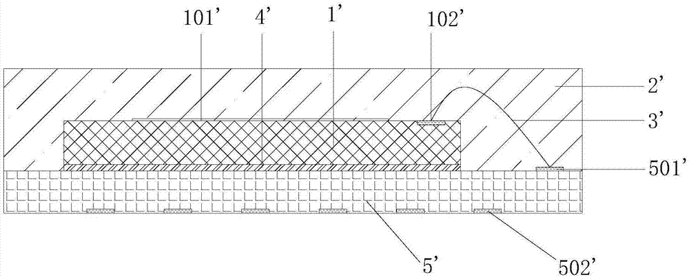 Package structure and packaging method of biometric chip