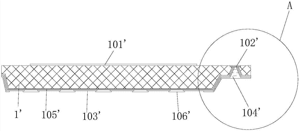 Package structure and packaging method of biometric chip