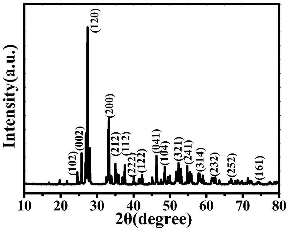 Cathode photoelectrochemical detection model of T4 polynucleotide kinase and application of cathode photoelectrochemical detection model
