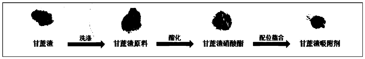 A kind of bagasse-based anionic adsorbent and its preparation method and application