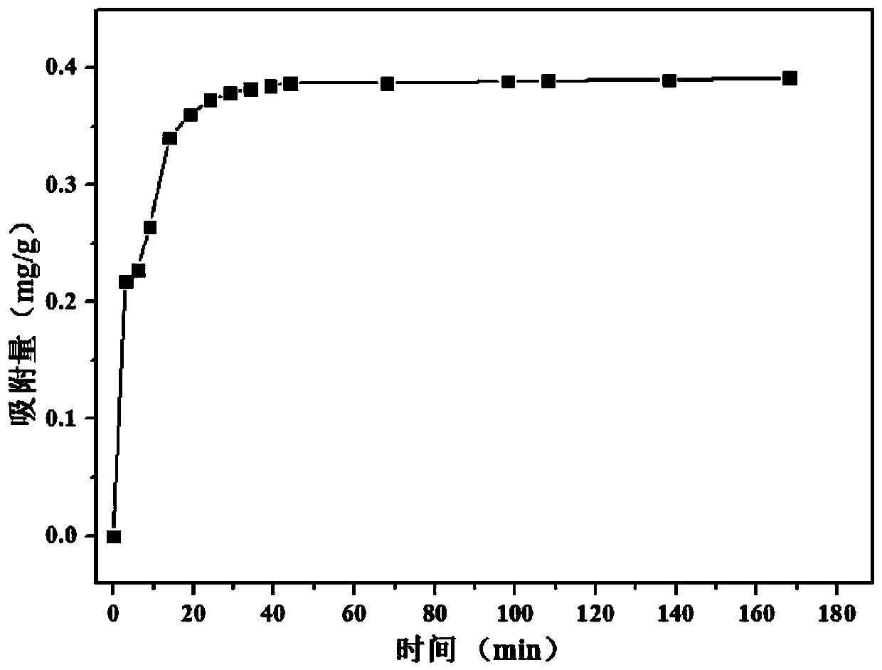 A kind of bagasse-based anionic adsorbent and its preparation method and application