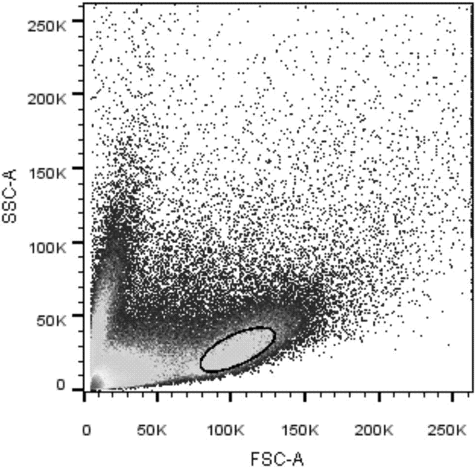 Detection method of decidual lymphocyte subset, kit and application of kit