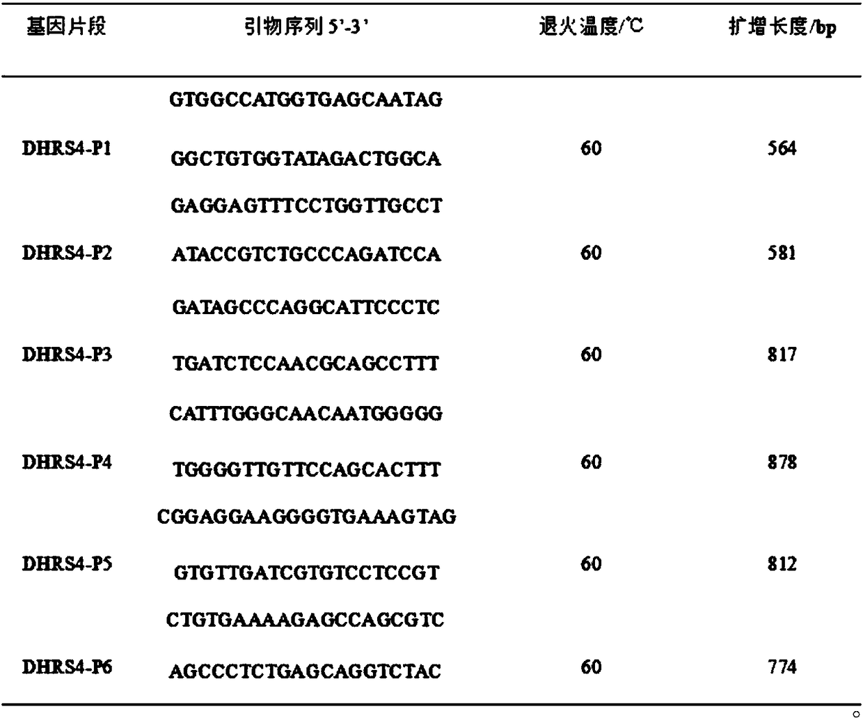 SNP molecular marker relevant to growth traits of large white pig and application of SNP molecular marker