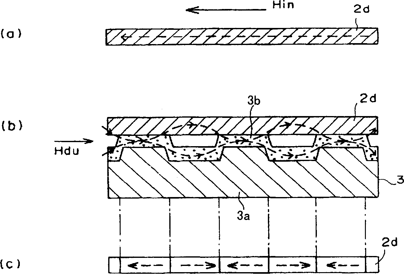 Source carrier for magnetic duplication