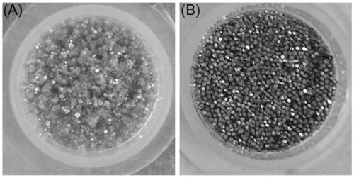 A kind of diamond-magnesium composite heat dissipation material and its preparation method and application