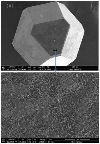 A kind of diamond-magnesium composite heat dissipation material and its preparation method and application