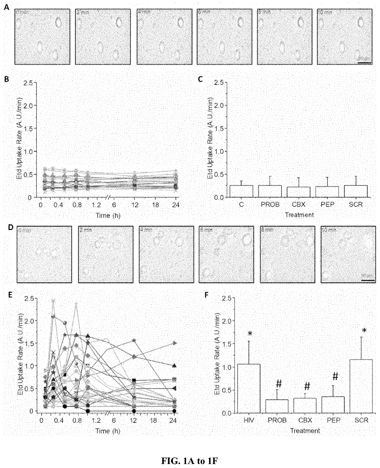 Methods of treating neurodegenerative diseases by targeting the purinergic and/or adenosine receptors