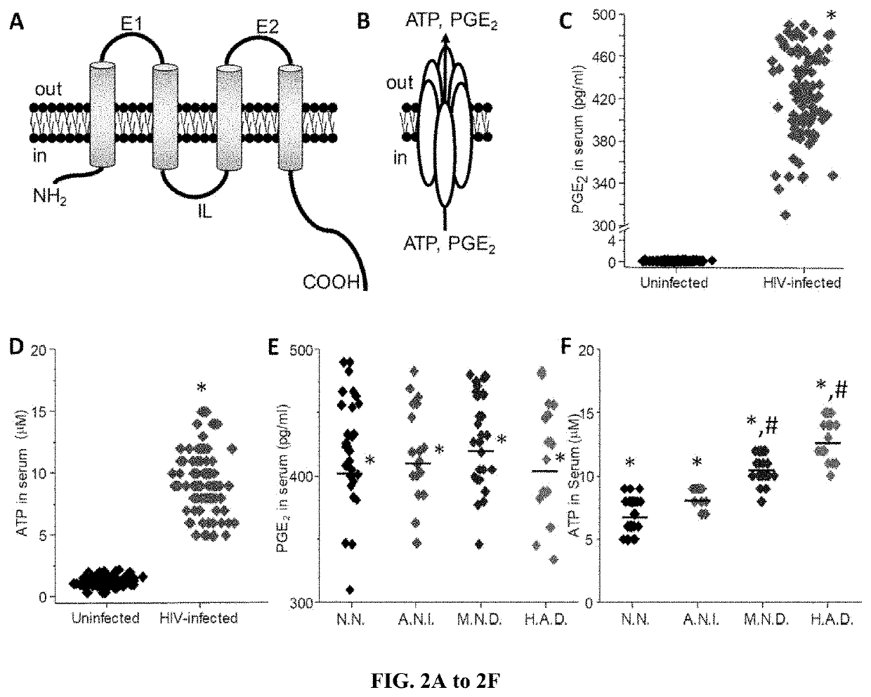 Methods of treating neurodegenerative diseases by targeting the purinergic and/or adenosine receptors