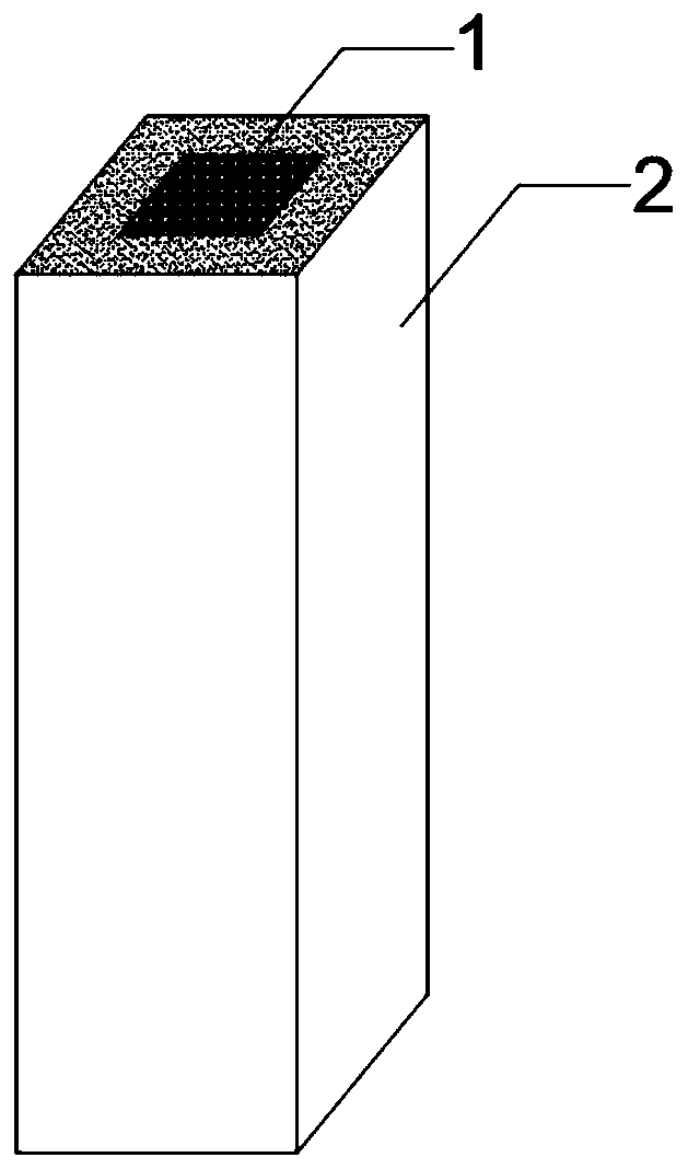 Combination method for structure and function integrated concrete