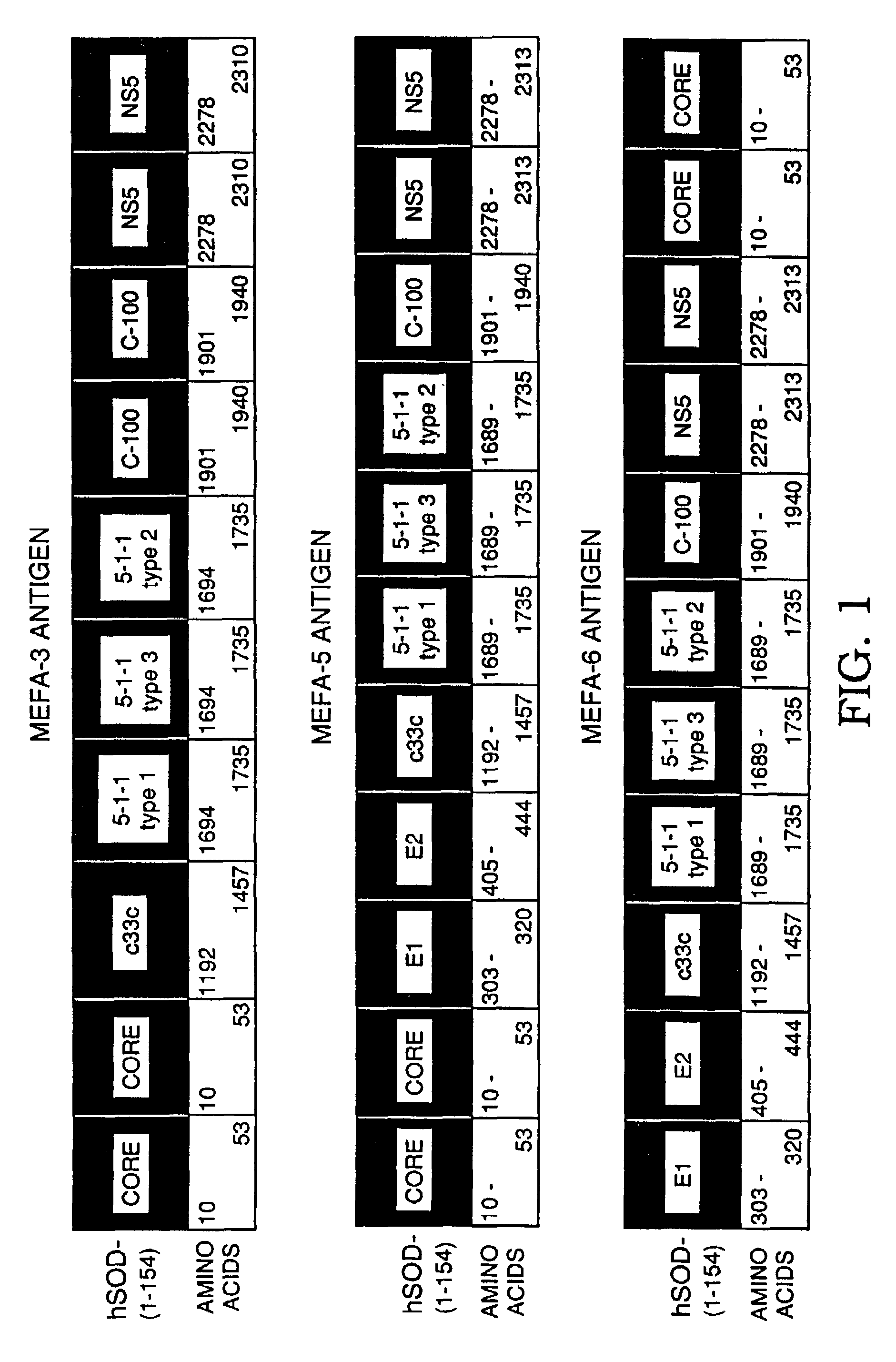 Multiple epitope fusion protein