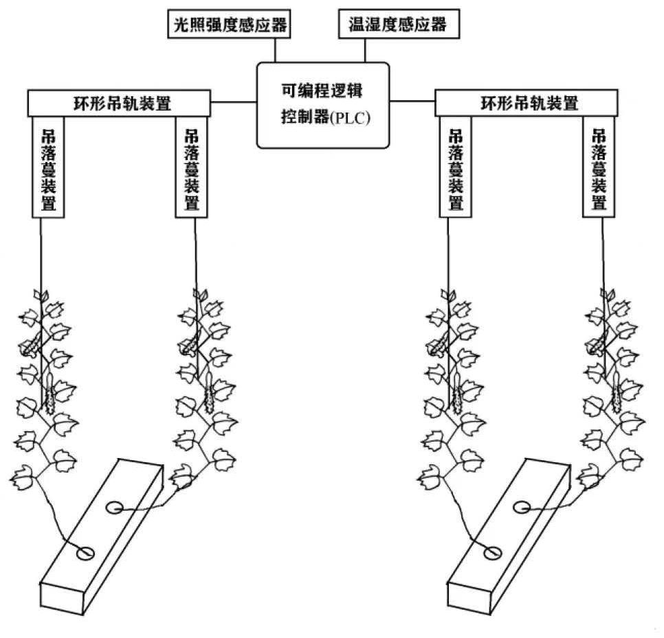 Vine hanging control system and method for greenhouse planting