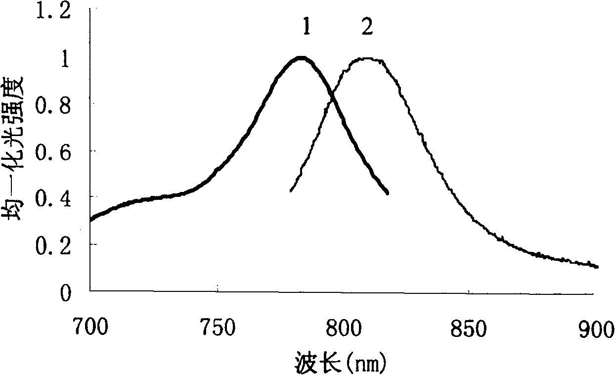 Pharmaceutical in vivo dynamics characteristic-nondestructive in situ monitoring system and monitoring method