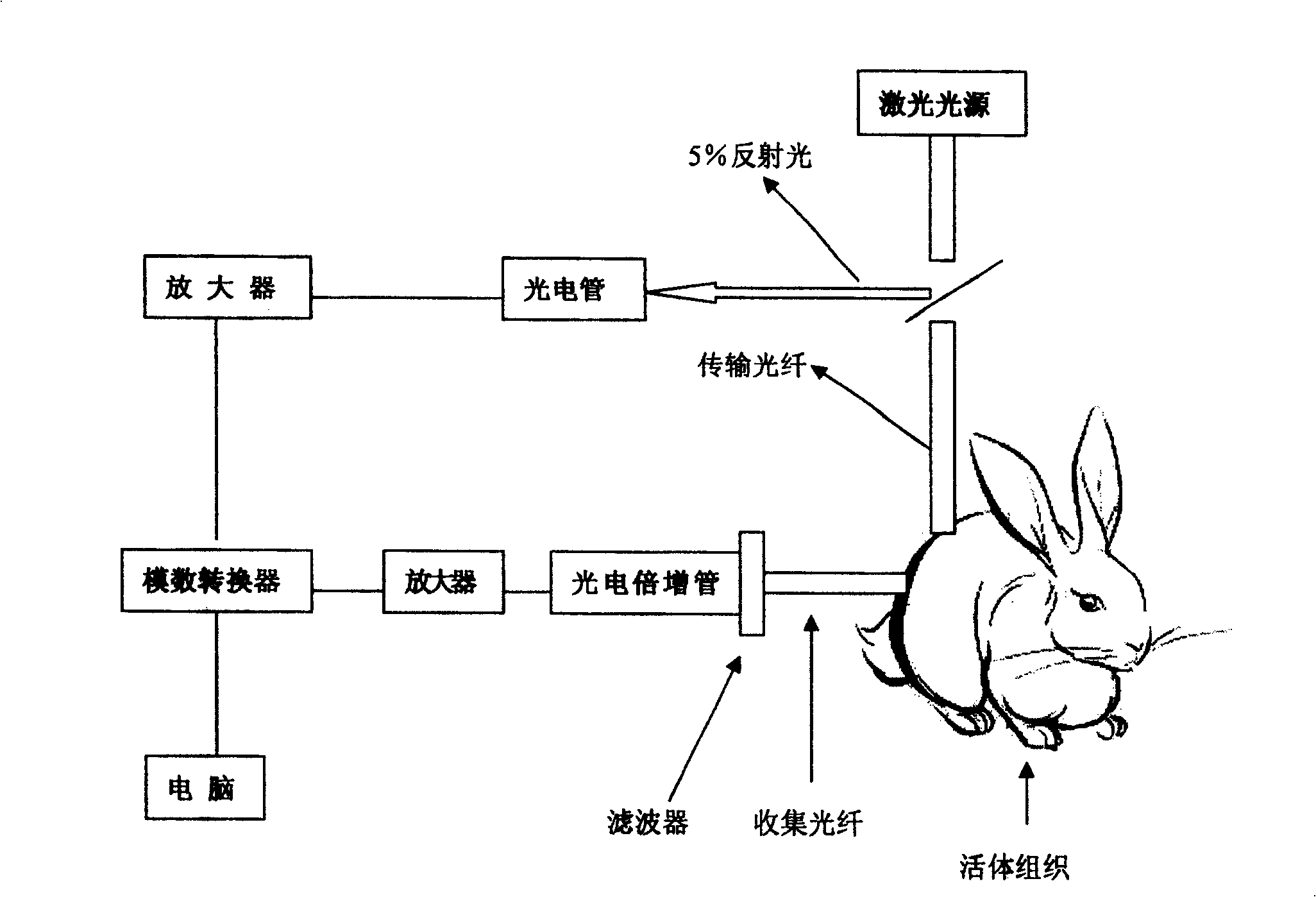 Pharmaceutical in vivo dynamics characteristic-nondestructive in situ monitoring system and monitoring method