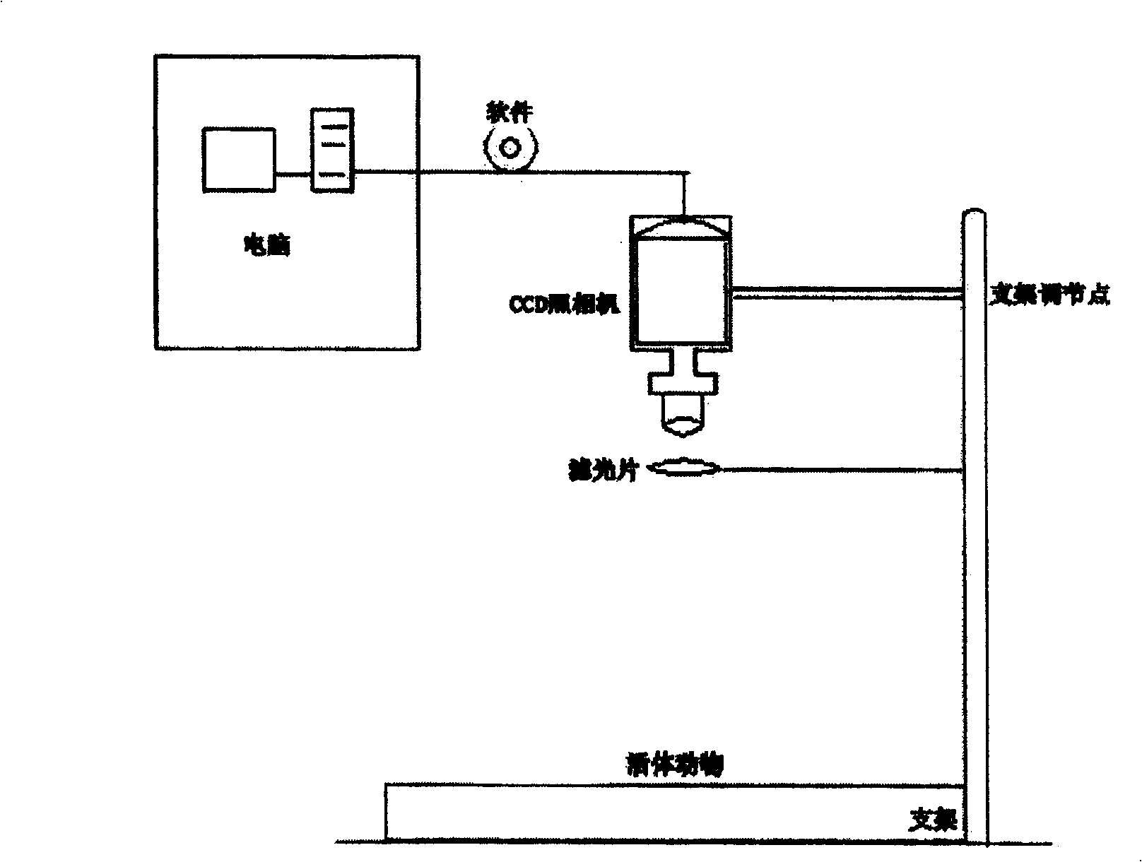 Pharmaceutical in vivo dynamics characteristic-nondestructive in situ monitoring system and monitoring method