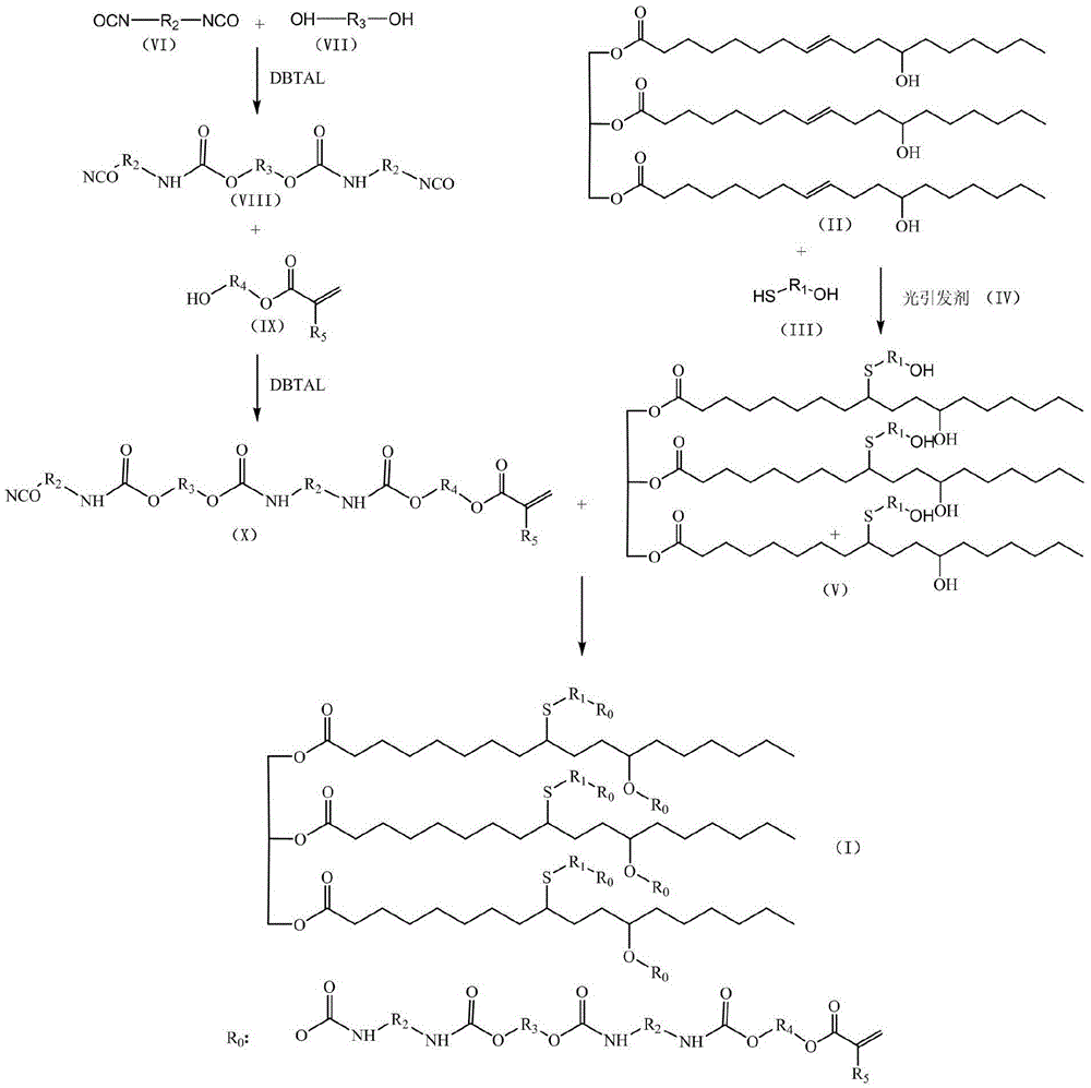 Castor oil-based polyurethane acrylate and preparation method as well as application thereof
