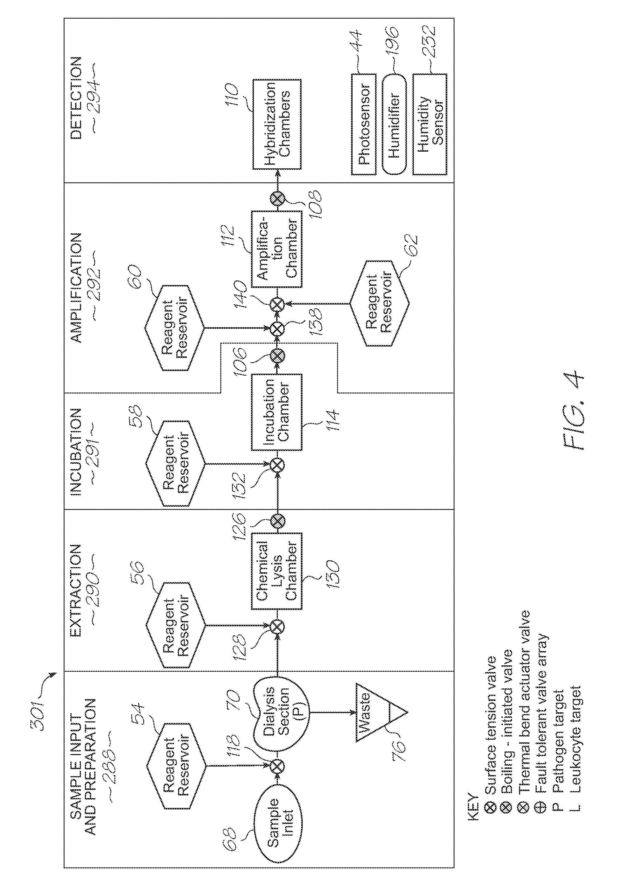 Microfluidic device with dialysis section having stomata tapering counter to flow direction