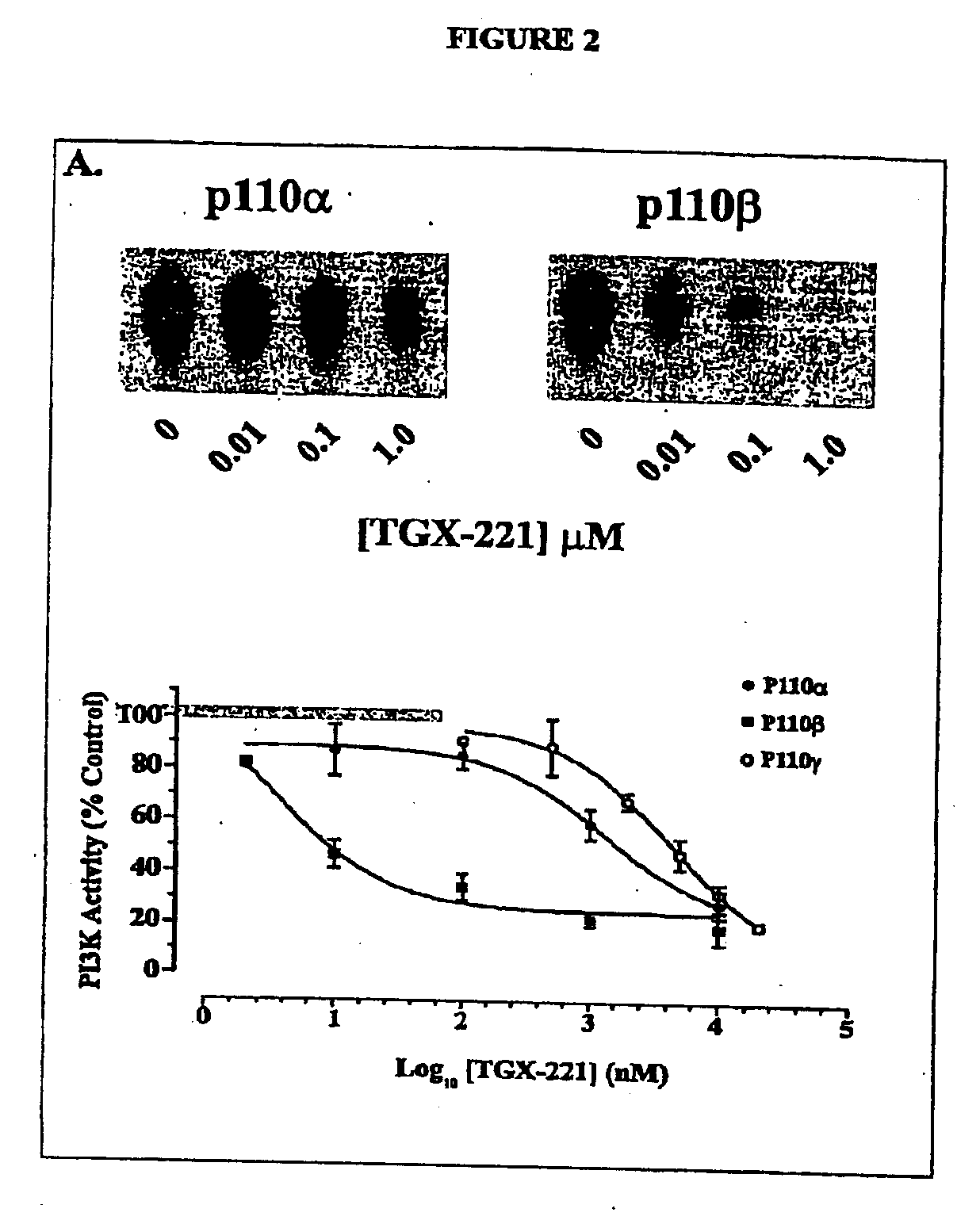 Inhibition Of Phosphoinositide 3-Kinase Beta
