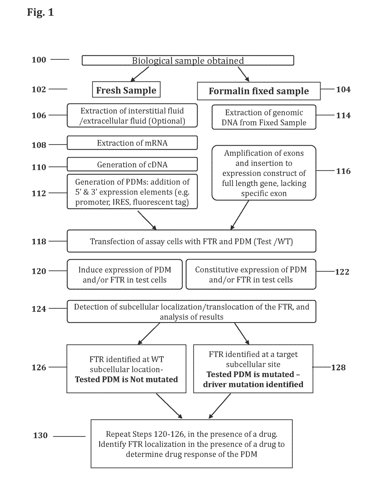 Methods for determining drug response of patient specific mutations