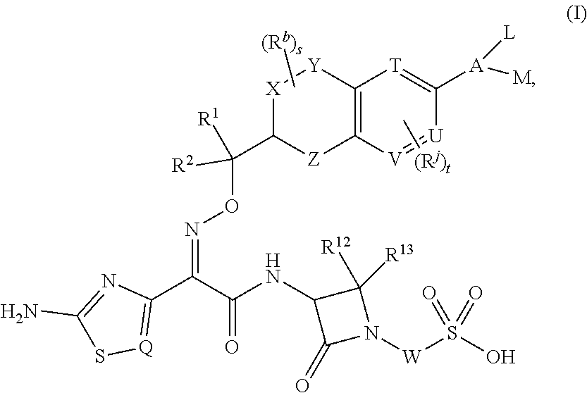 Chromane monobactam compounds for the treatment of bacterial infections