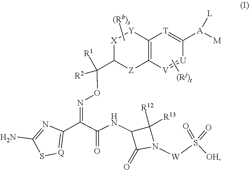 Chromane monobactam compounds for the treatment of bacterial infections