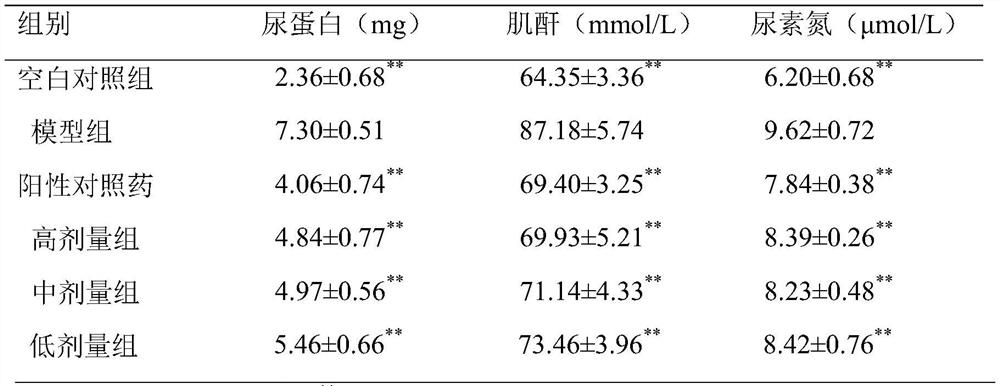Application of Aspidopterys obcordata Hemsl. extract in preparation of medicine for preventing and/or treating diabetic nephropathy