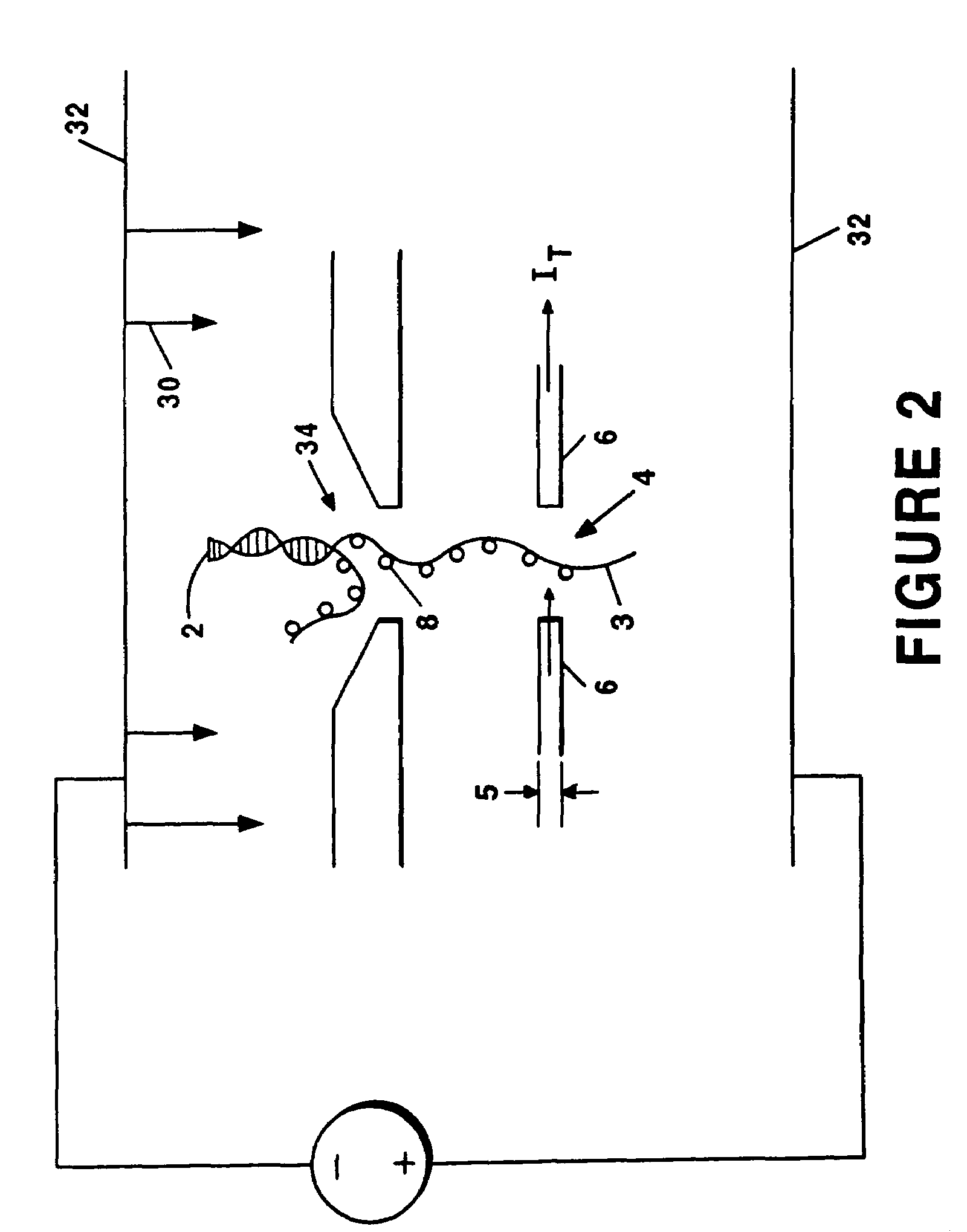Method and apparatus for sequencing polymers through tunneling conductance variation detection