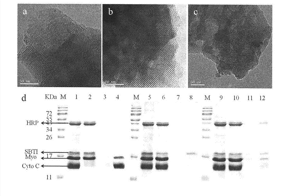 Method for high-selectivity enrichment of serum glycopeptides group