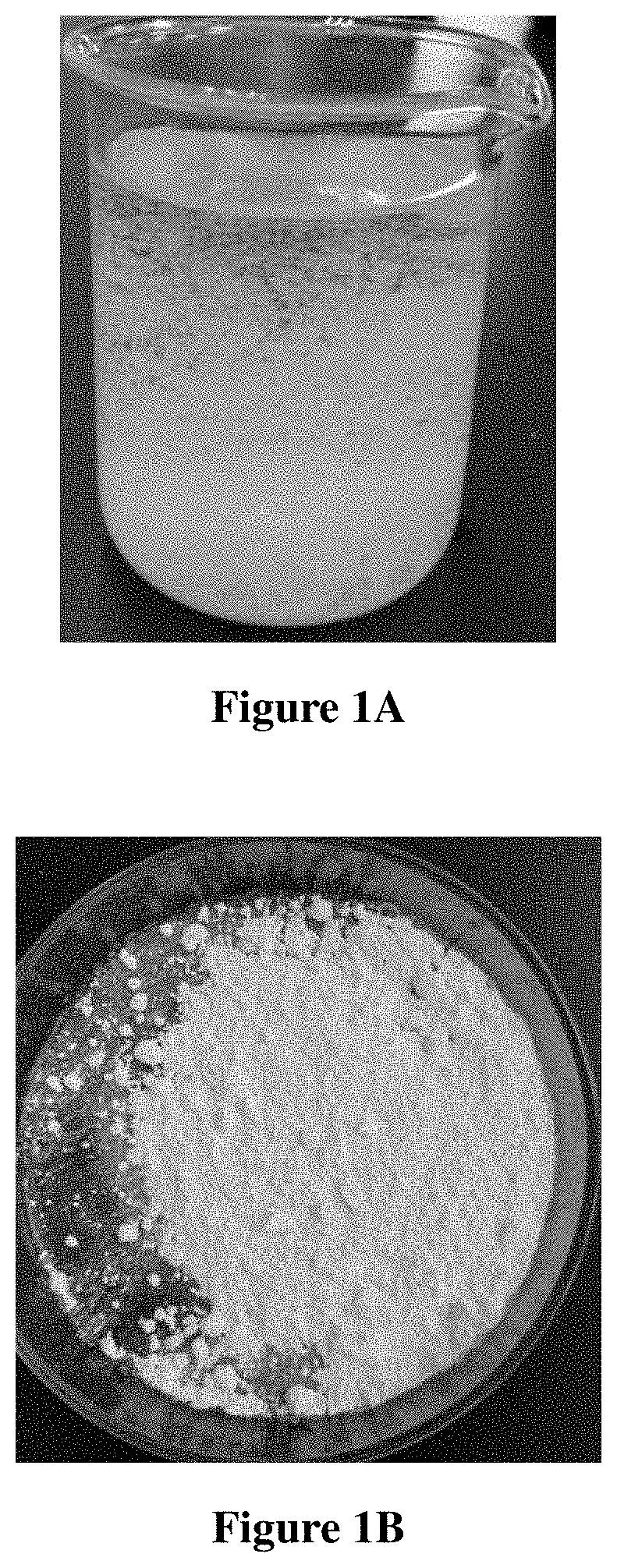 Crystal of polymyxin b1 sulfate, polymyxin b2 sulfate or their mixture and preparation method thereof