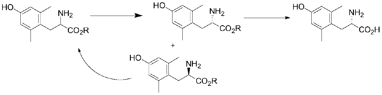 Resolution method for 2,6-dimethyltyrosine ester and application thereof