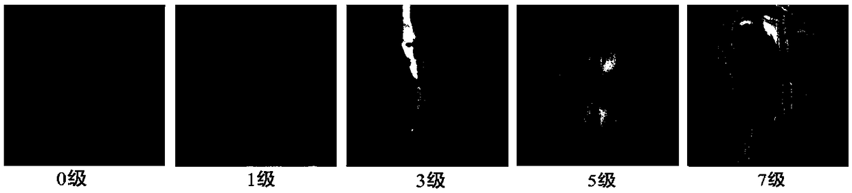 Method for rapidly artificially identifying fruit cracking resistance of chili