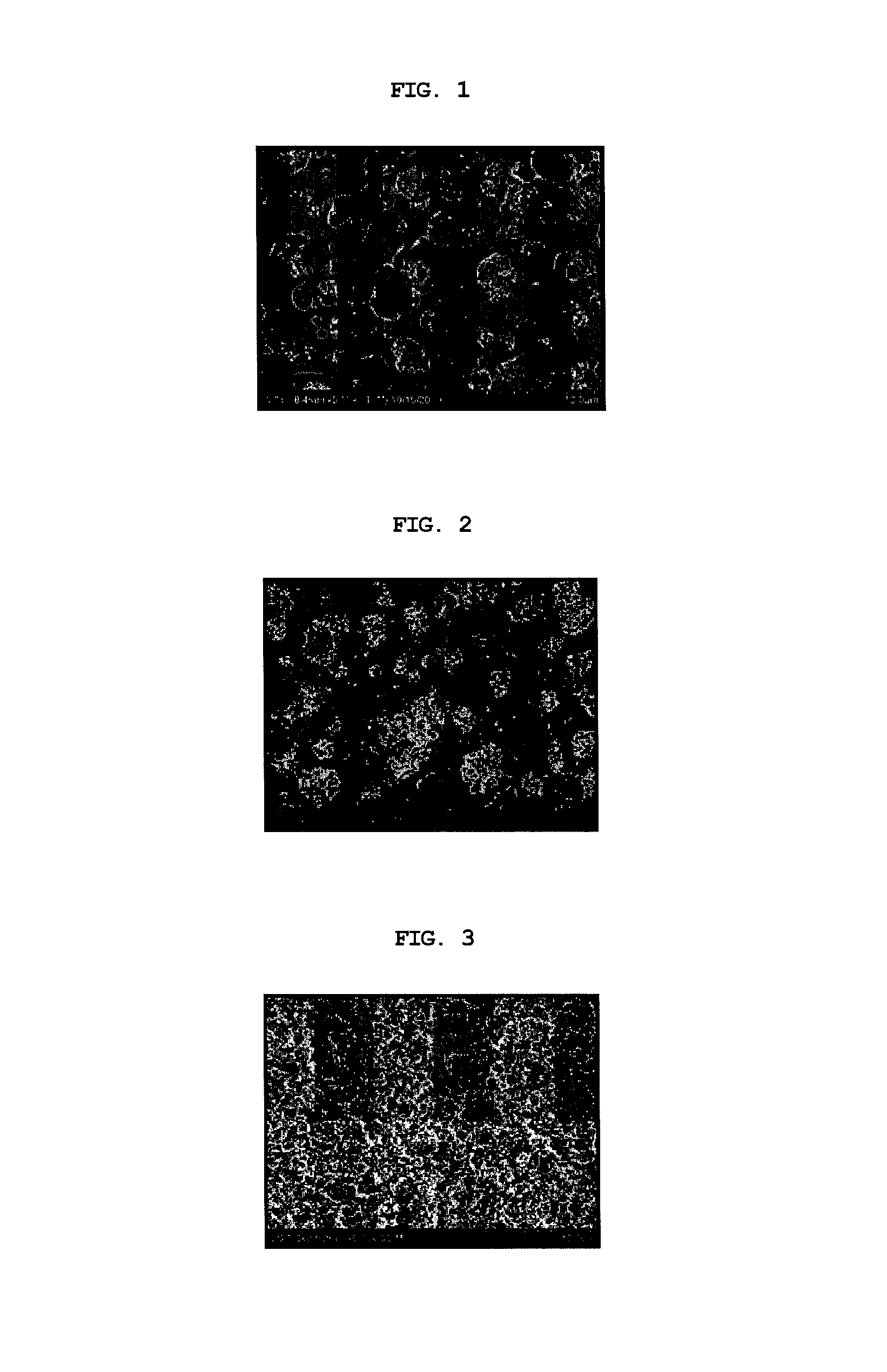 Method for manufacturing separator, separator manufactured by the method and method for manufacturing electrochemical device including the separator