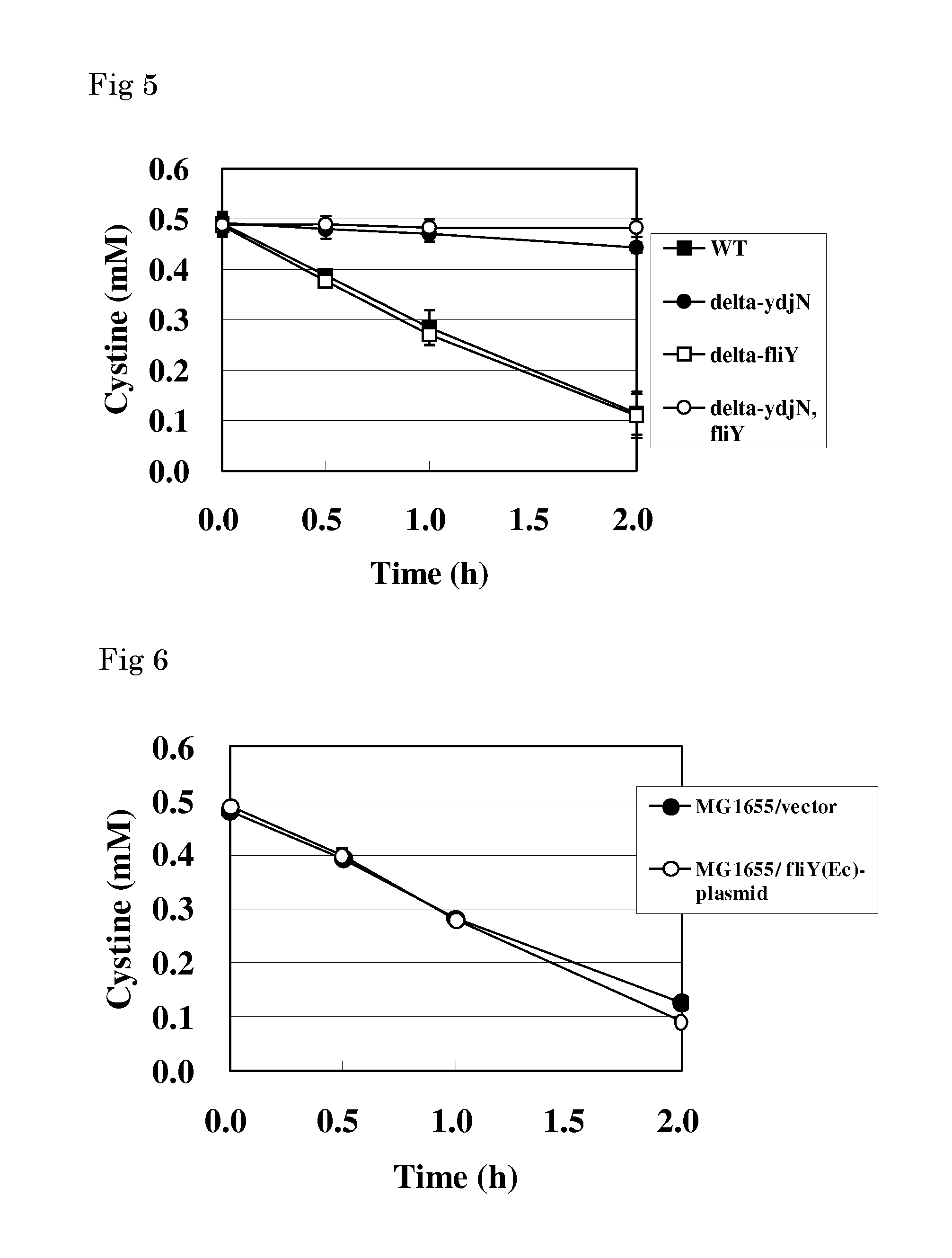 L-cysteine-producing bacterium and a method for producing l-cysteine