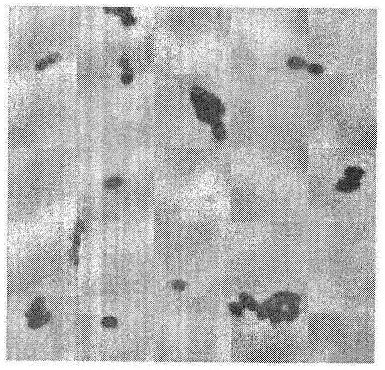 A strain of Enterococcus faecalis hew-a131 and its application