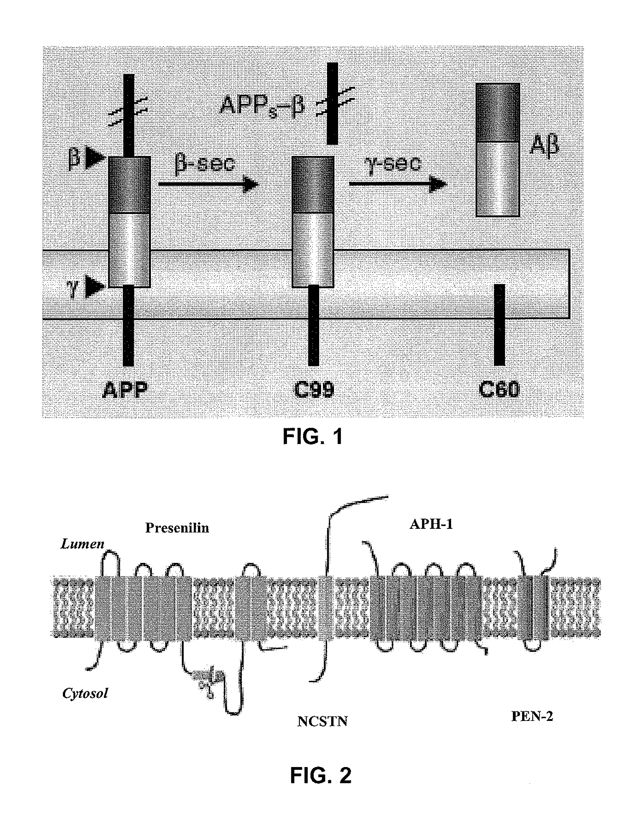 Screening G protein-coupled receptor antagonists for methods of treating Alzheimer's disease