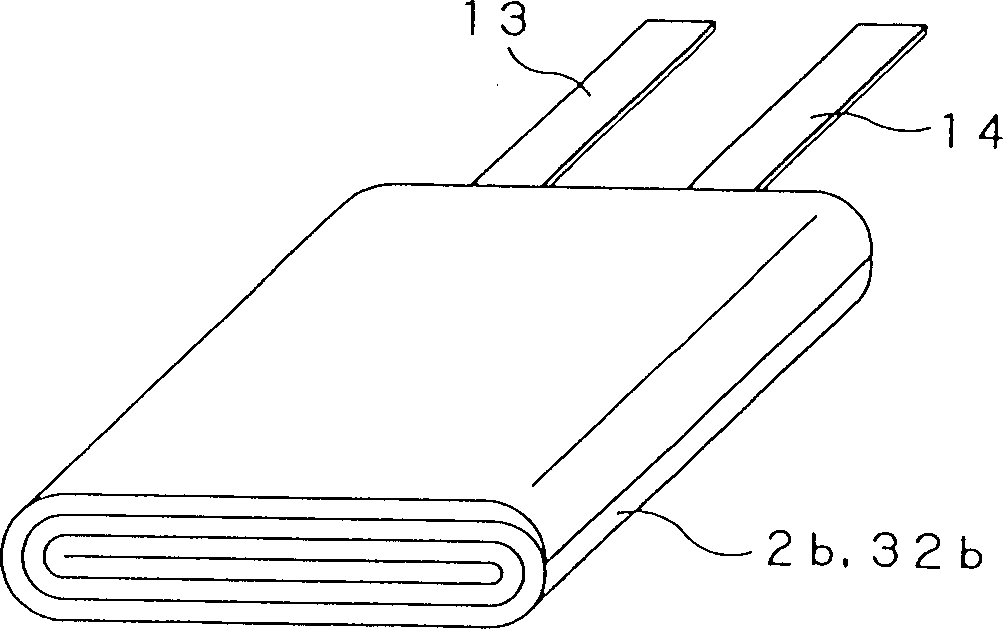 Polymer electrolyte battery and method of producing same