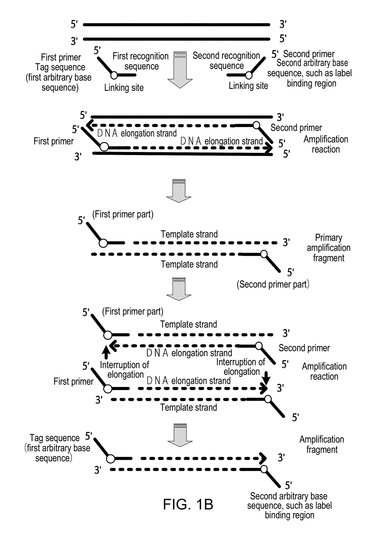 Method for Detecting Target Nucleic Acid