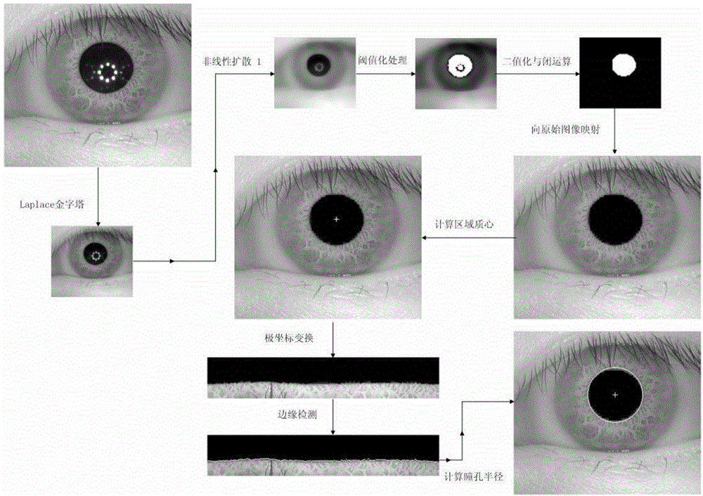 Iris Image Segmentation Algorithm Based on Nonlinear Scale Space