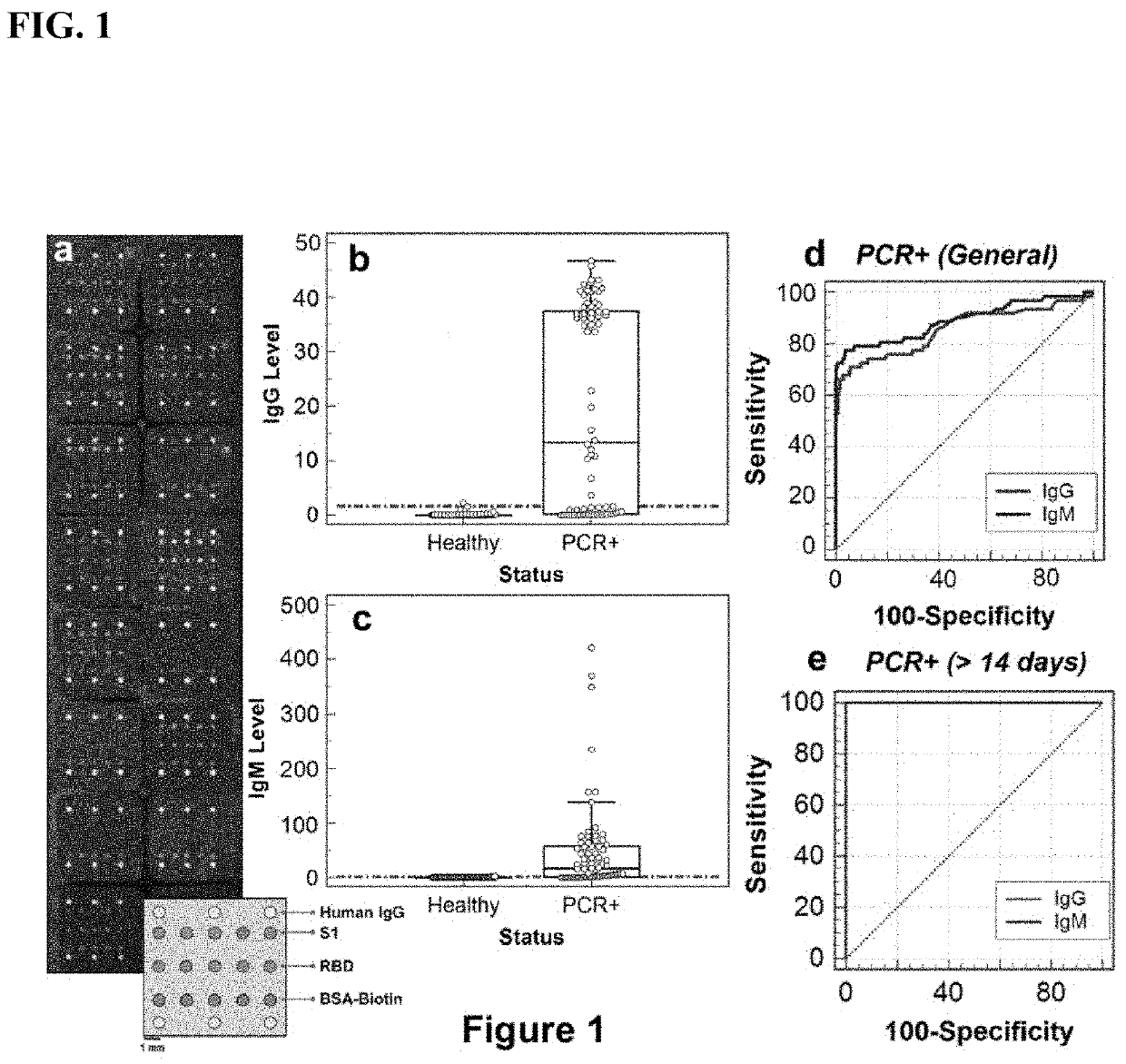 Assays, sensing platforms, and methods for diagnosis of coronavirus infection and re-infection